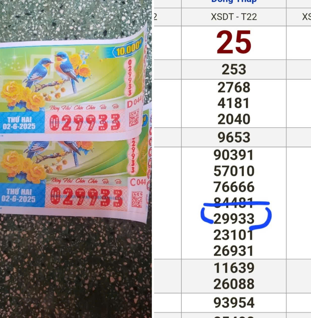 z6677876686102_230b863cede09602fa8bc25cfebfaeec